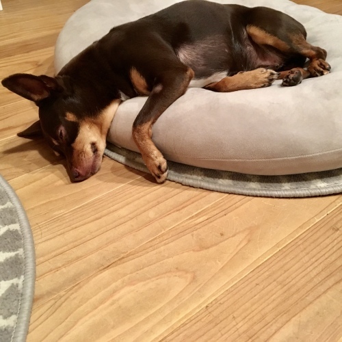 a0291132_15515297.jpeg