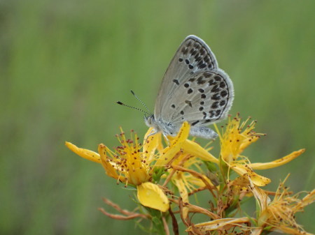 c0353632_06453344.jpg