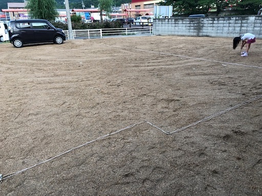 c0367433_18041414.jpeg