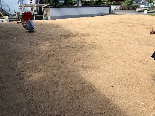 c0367433_18131847.jpeg