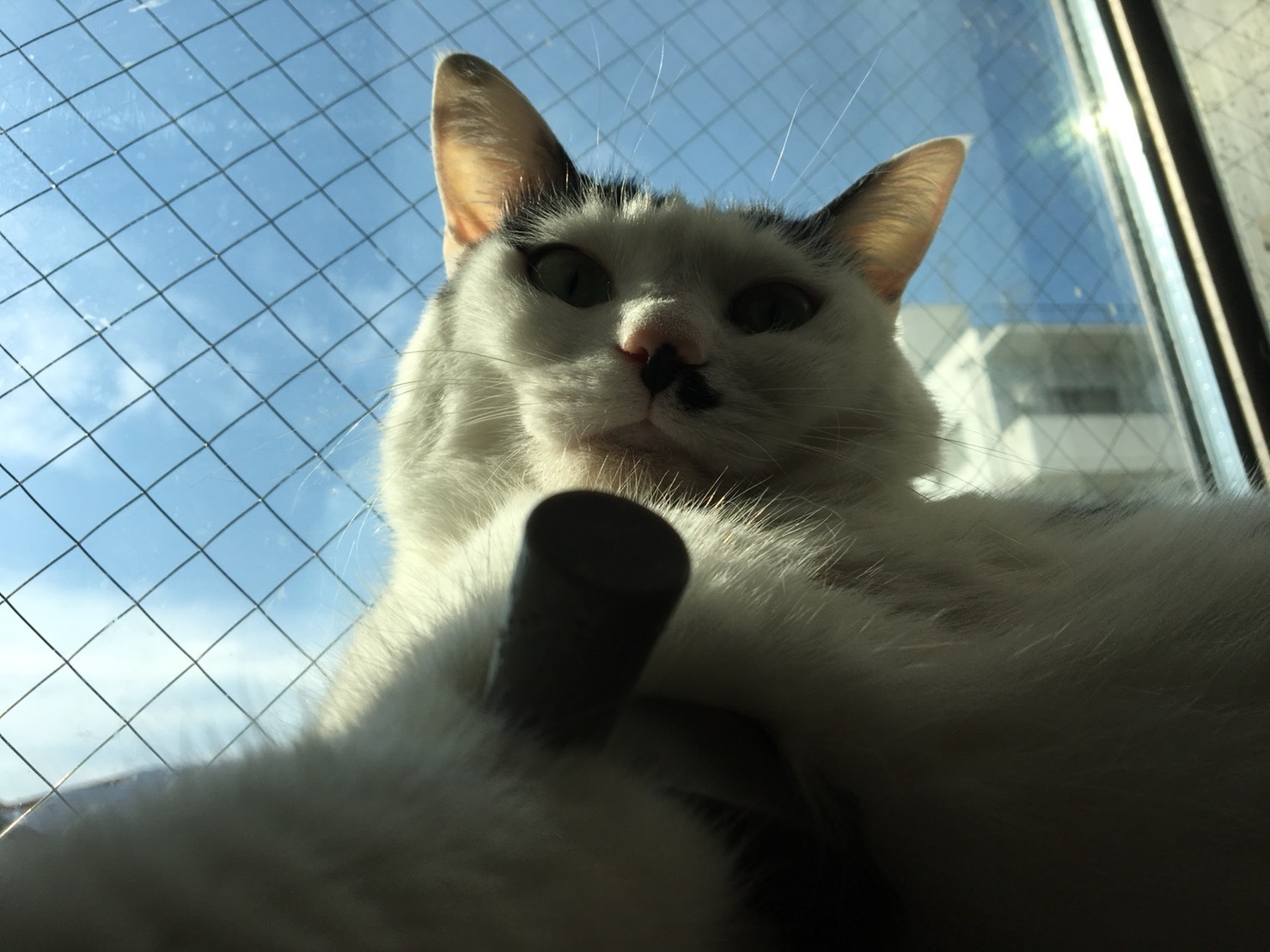 c0342535_22511286.jpeg