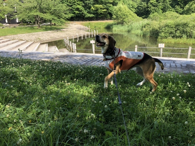 b0031538_22515330.jpeg