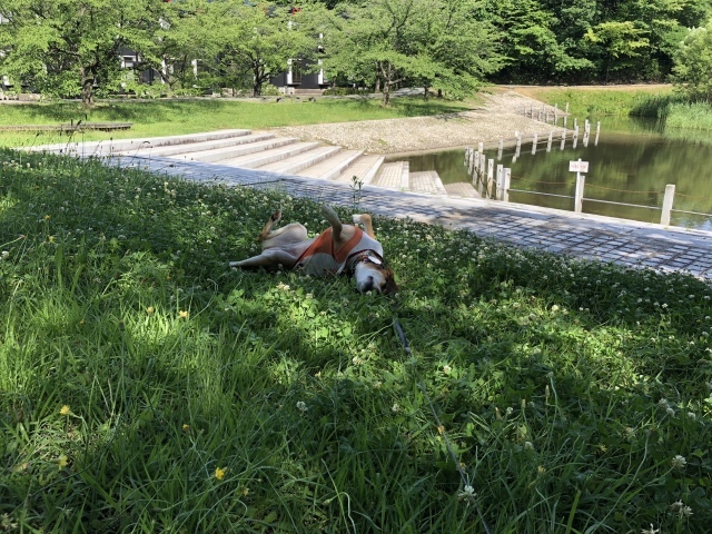 b0031538_22565796.jpeg