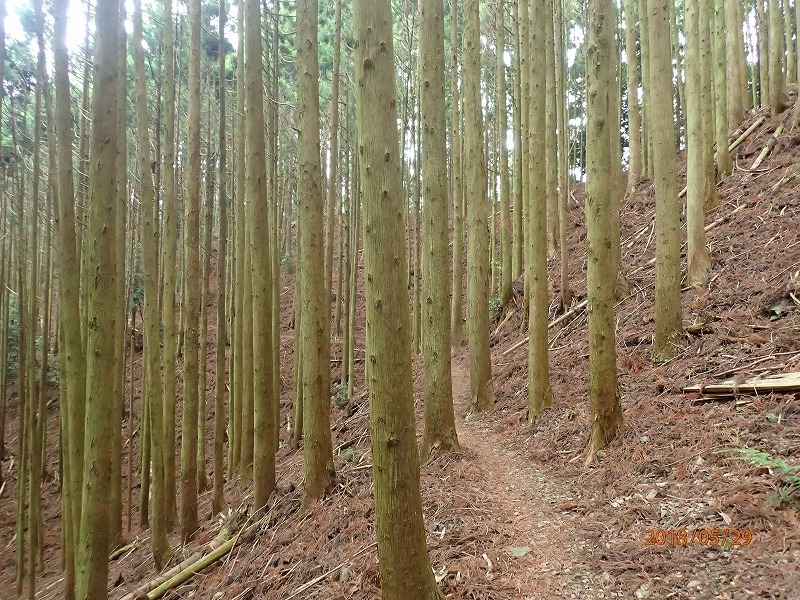 e0062639_17351983.jpg