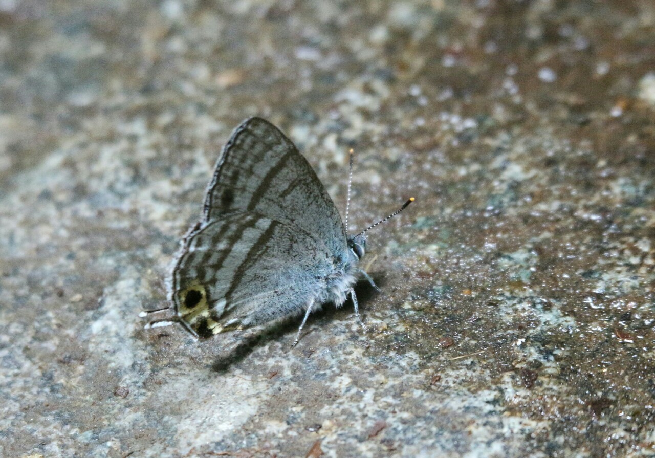 d0361041_11223333.jpg