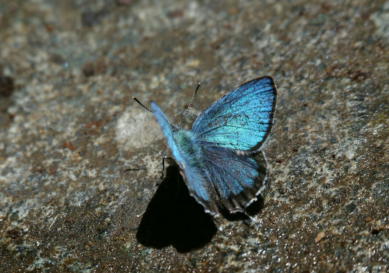 d0361041_11231713.jpg