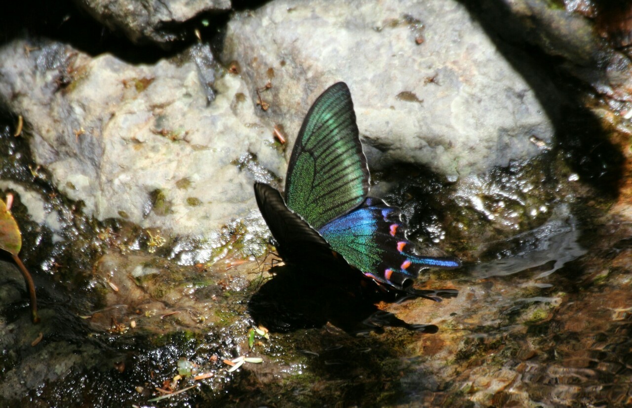 d0361041_11233595.jpg