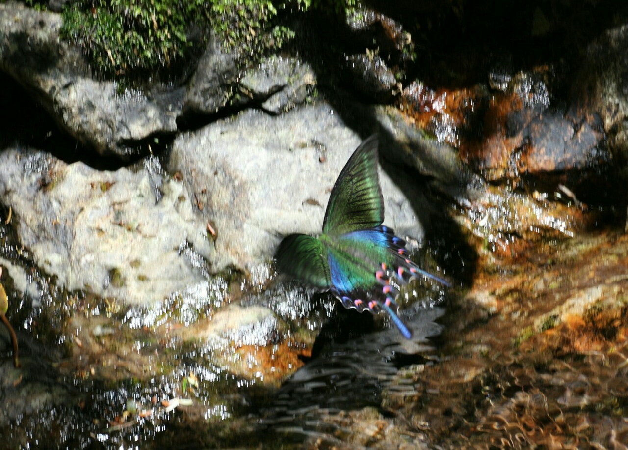 d0361041_11235127.jpg