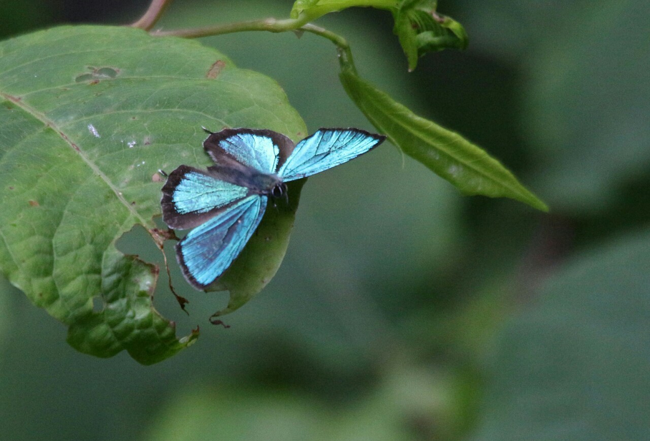 d0361041_11442903.jpg