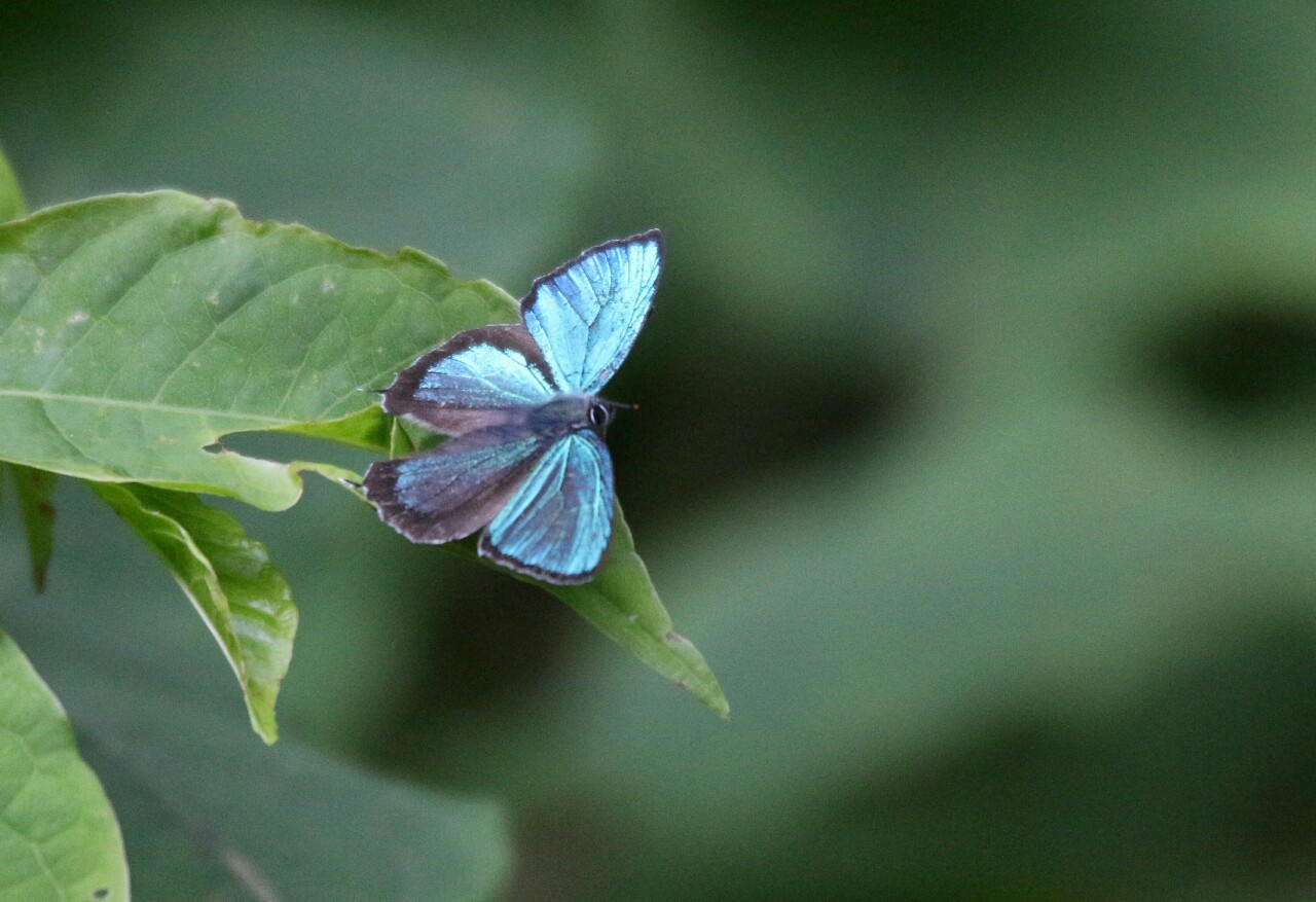 d0361041_11444247.jpg