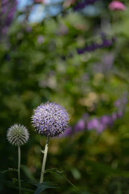 Flower ball_f0158043_22350724.jpg