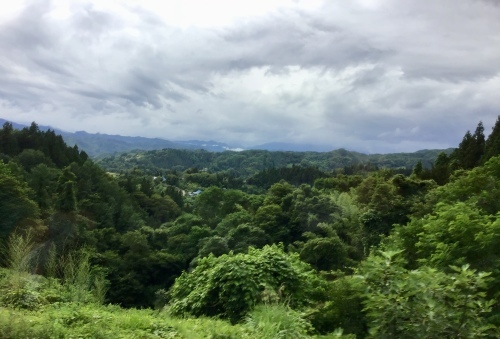 f0352451_17023157.jpeg