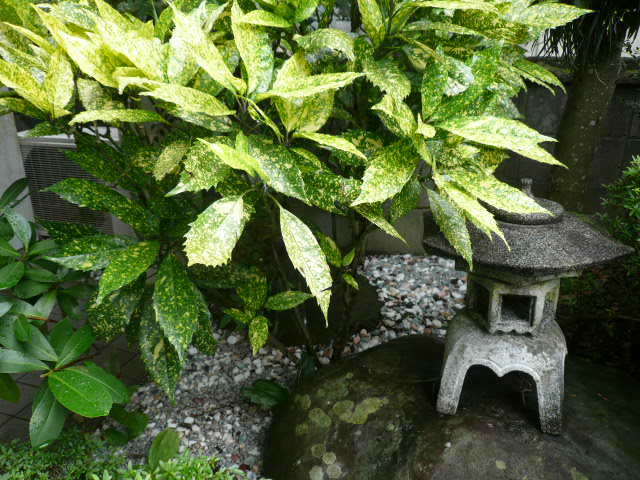 c0043055_11013206.jpg