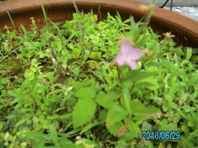 d0235856_09273021.jpg