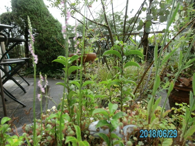 d0235856_09350445.jpg