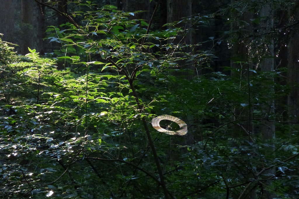 c0294658_21562730.jpg