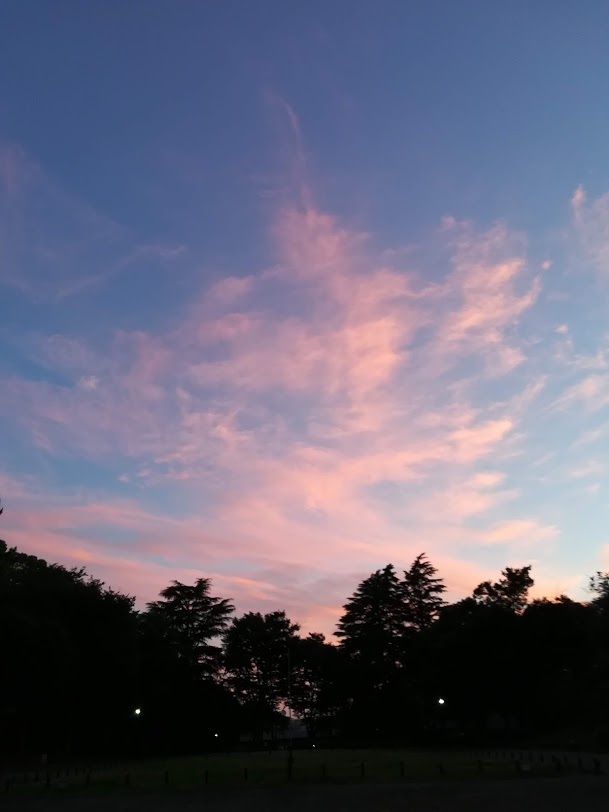 a0248459_19211846.jpg