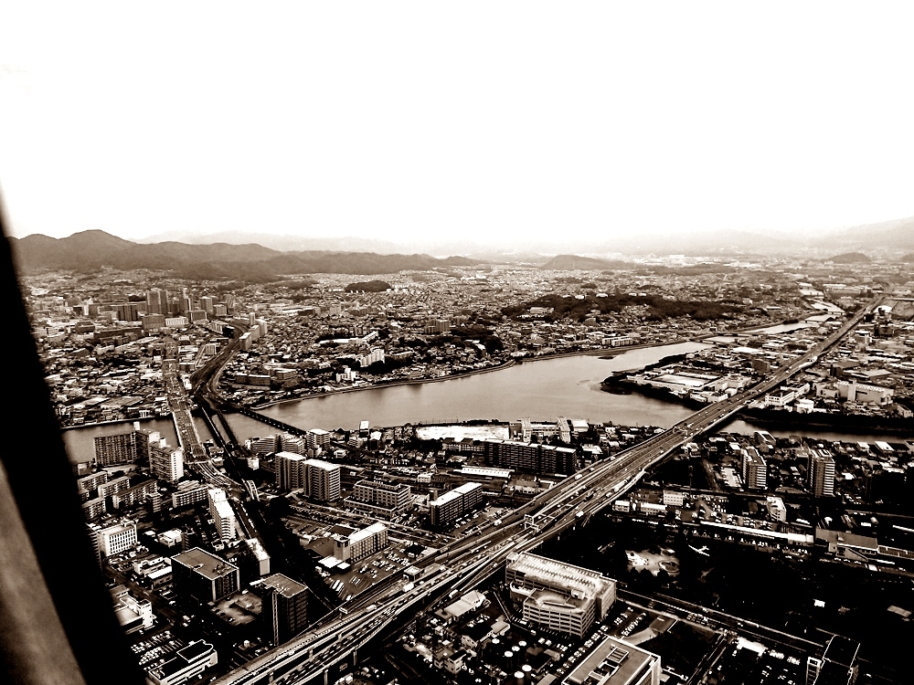 d0039059_18335000.jpg