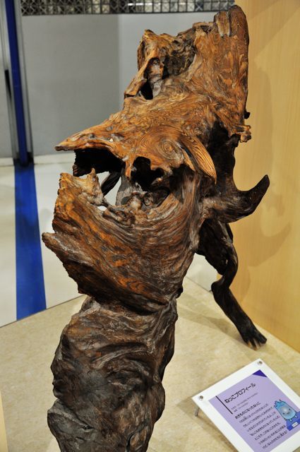 特別天然記念物　魚津埋没林博物館_c0081462_08082863.jpg