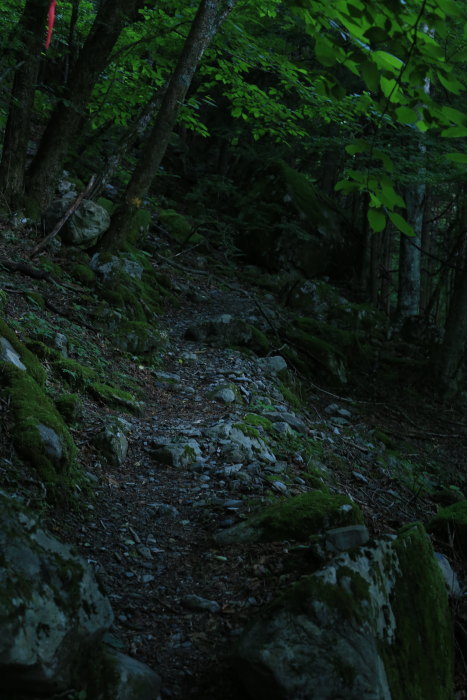 e0338862_19394264.jpg