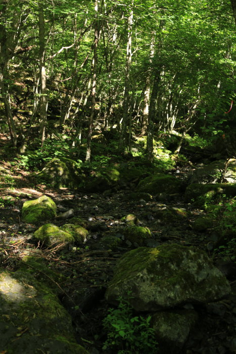 e0338862_19431162.jpg