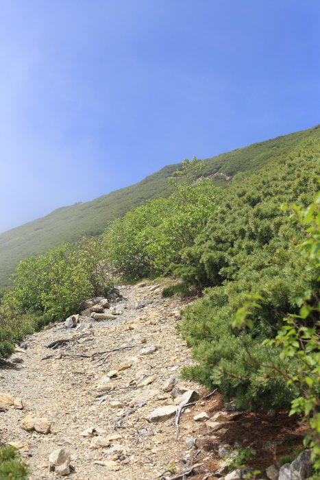 e0338862_19570595.jpg