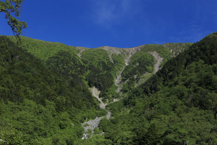 e0338862_20021765.jpg