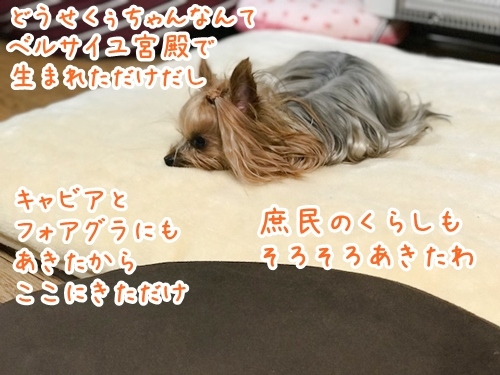 e0248268_21085923.jpg