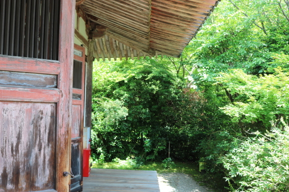 c0001670_07280560.jpg