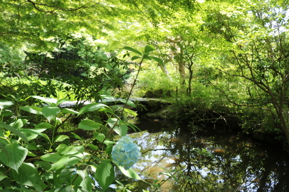 c0001670_07282700.jpg