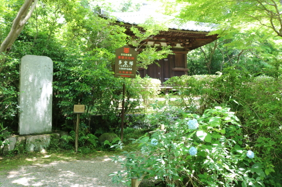 c0001670_07285302.jpg