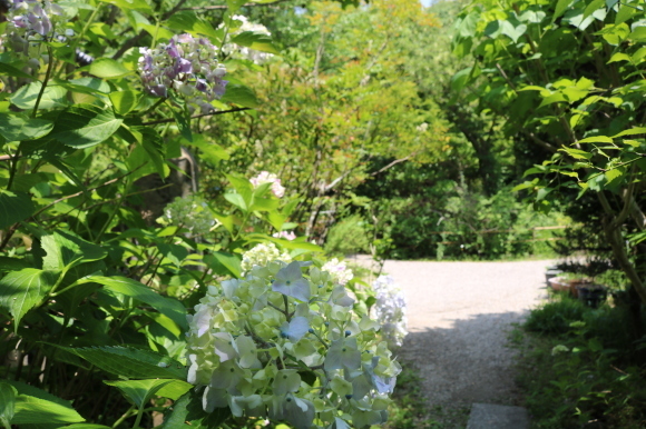 c0001670_07303531.jpg