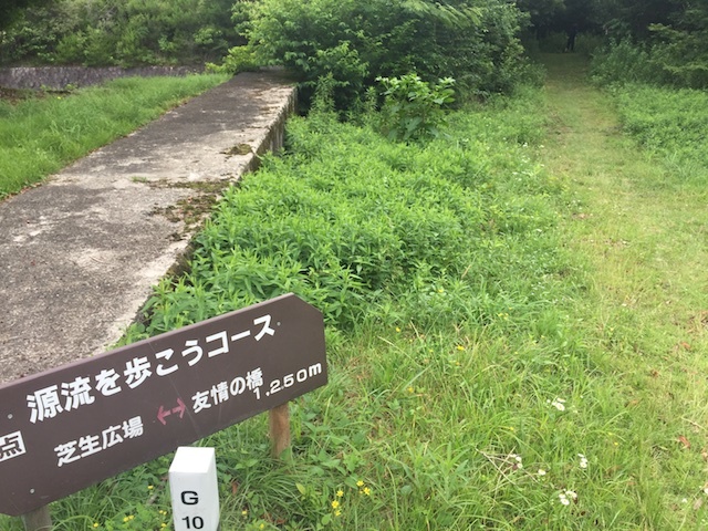 近江富士と希望が丘アクティブクロカン 約17km_e0139376_21100638.jpg