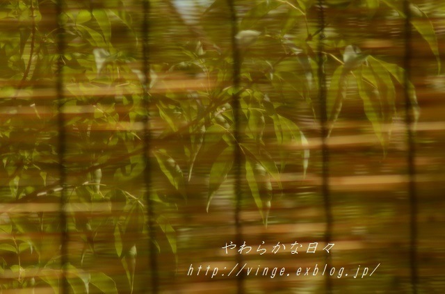 a0158478_16442012.jpg