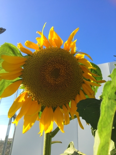 d0370681_21031625.jpg