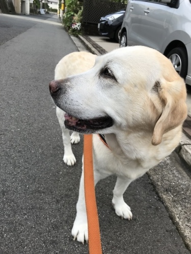 f0315081_17125939.jpeg