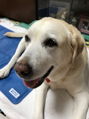 f0315081_17142206.jpeg
