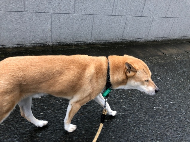 c0332184_10030424.jpeg
