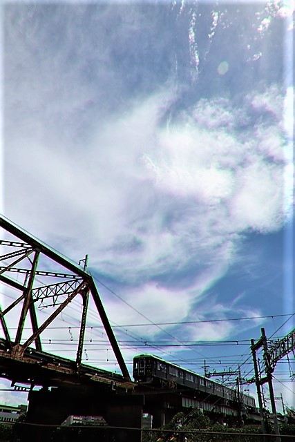 d0181492_15350975.jpg