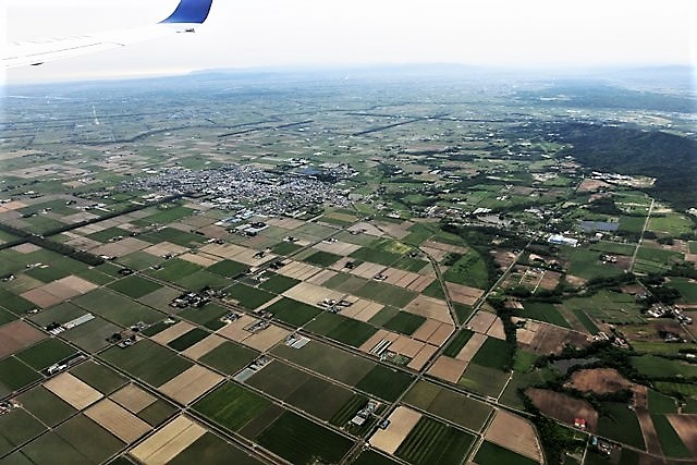 d0181492_16550619.jpg