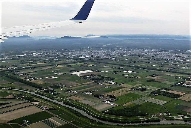 d0181492_16554010.jpg