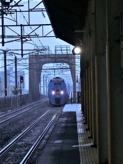 藤田八束の鉄道写真＠北海道で貨物列車写真を撮りました・・・あいにくの雨、雨の中の発見_d0181492_16585429.jpg