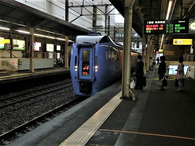 藤田八束の鉄道写真＠北海道で貨物列車写真を撮りました・・・あいにくの雨、雨の中の発見_d0181492_16591136.jpg