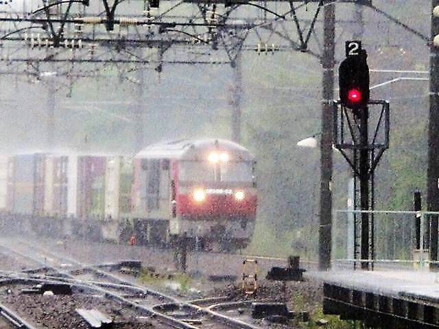 藤田八束の鉄道写真＠北海道で貨物列車写真を撮りました・・・あいにくの雨、雨の中の発見_d0181492_17081764.jpg