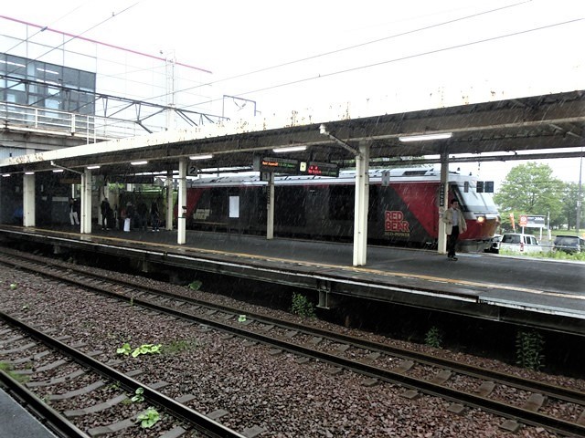 藤田八束の鉄道写真＠北海道で貨物列車写真を撮りました・・・あいにくの雨、雨の中の発見_d0181492_17091095.jpg