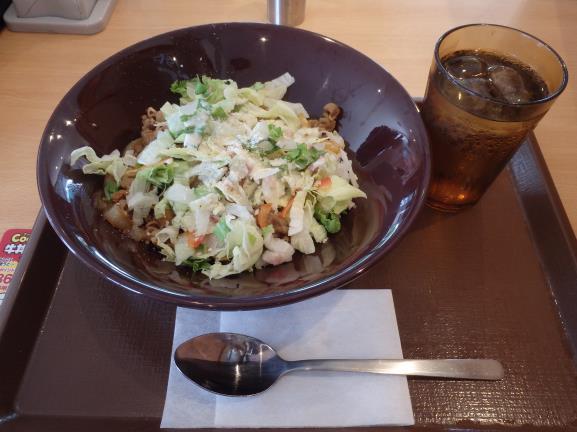 すき家のシーザーレタス牛丼 豊中曽根店_c0118393_10423454.jpg