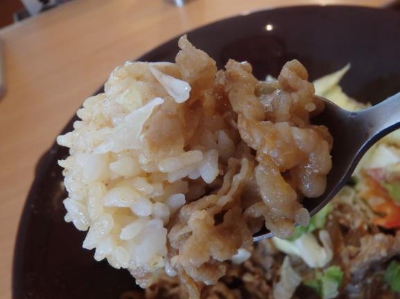 すき家のシーザーレタス牛丼 豊中曽根店_c0118393_11065959.jpg