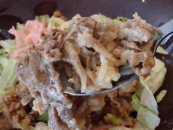 すき家のシーザーレタス牛丼 豊中曽根店_c0118393_11403868.jpg