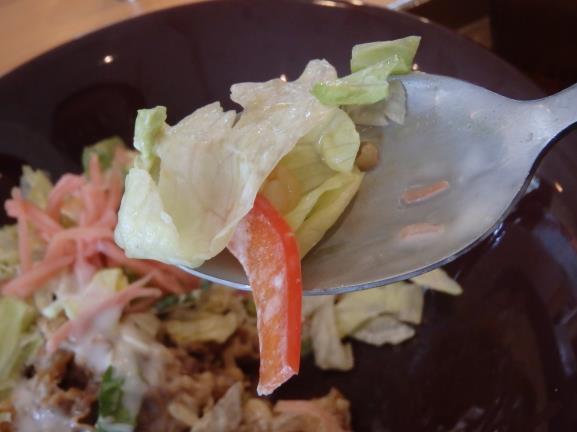 すき家のシーザーレタス牛丼 豊中曽根店_c0118393_16012444.jpg