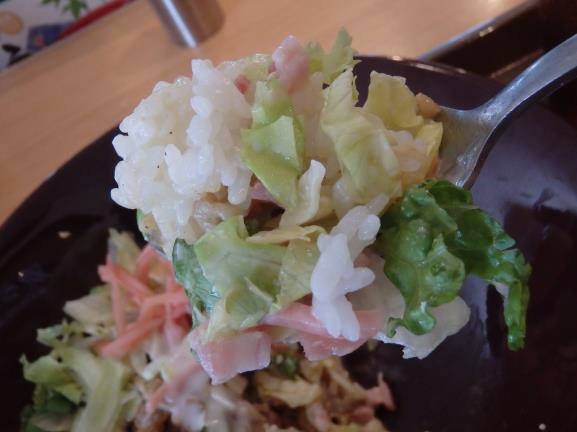 すき家のシーザーレタス牛丼 豊中曽根店_c0118393_16022157.jpg
